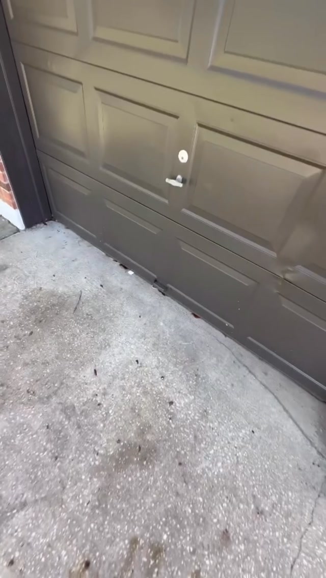 General Handyman in Winter Park, FL completed by TaskDoor
